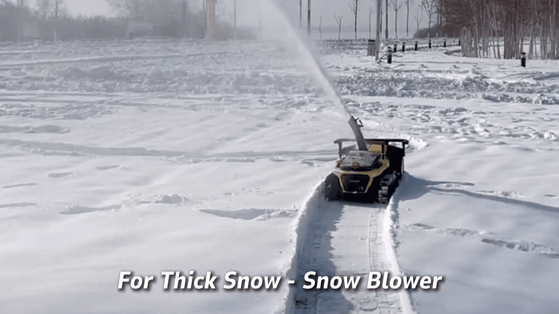 吹雪の中でも完璧に作業。